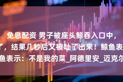 免息配资 男子被座头鲸吞入口中，他以为自己要死了，结果几秒后又被吐了出来！鲸鱼表示：不是我的菜_阿德里安_迈克尔·帕卡德_海洋