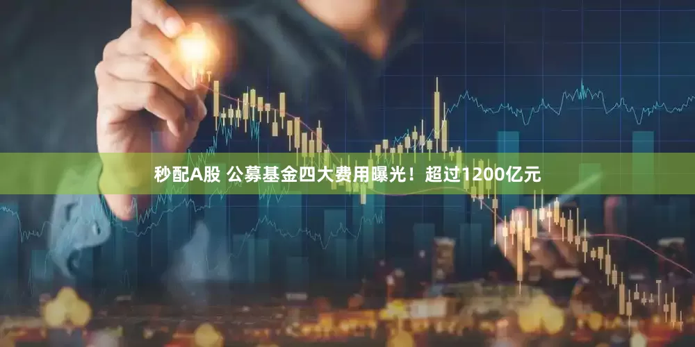 秒配A股 公募基金四大费用曝光！超过1200亿元